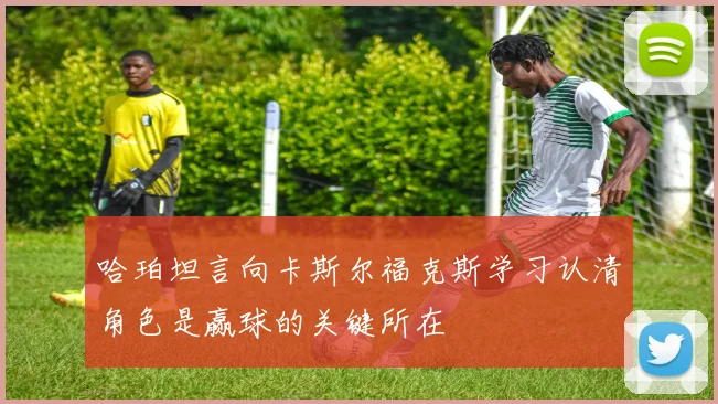 哈珀坦言向卡斯尔福克斯学习认清角色是赢球的关键所在