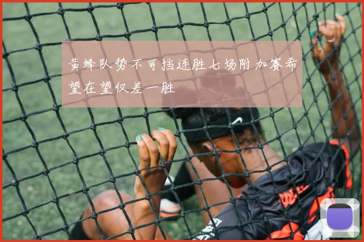 黄蜂队势不可挡连胜七场附加赛希望在望仅差一胜